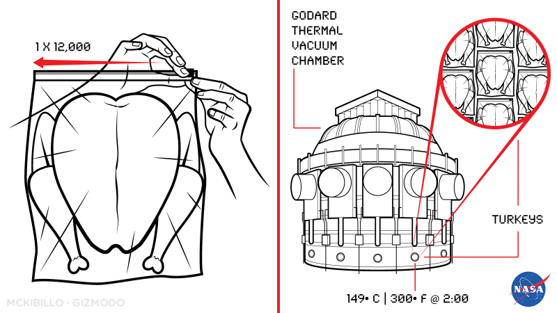 Illustration for article titled How NASA Scientists Would Cook Your Turkey